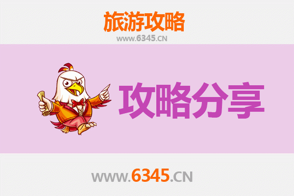 乌兰察布至湄洲岛旅游攻略：跟团还是自由行选择指南